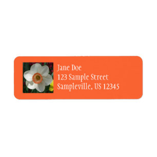 Roze deaffodilentestbloem etiket