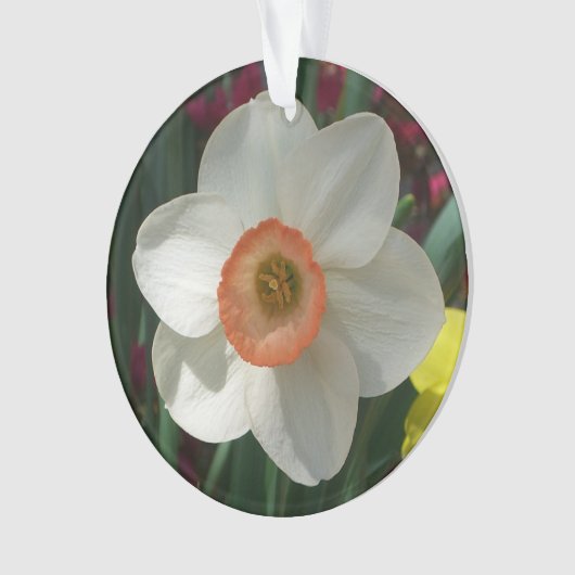 Roze deaffodilentestbloem ornament (voorkant)