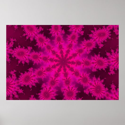 Roze Decasteer Poster (Voorkant)