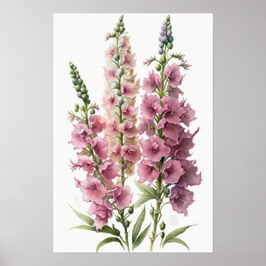 Roze Delphinium Bloemenkunst Print Poster (Voorkant)