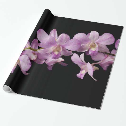 Roze dendrobium Orchid Flower - Floral Orchids Cadeaupapier (Uitgerold)