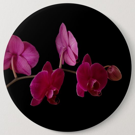 Roze dendrobium Orchid - Gepersonaliseerd bloemen Ronde Button 6,0 Cm (Voorkant)