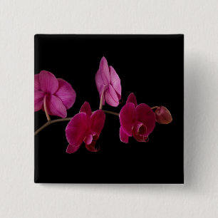 Roze dendrobium Orchid - Gepersonaliseerd bloemen Vierkante Button 5,1 Cm