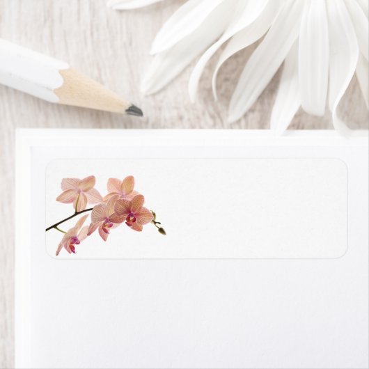 Roze Dendrobium Orchidee Bloem - Orchideeën Sjablo Etiket (Insitu)