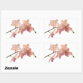 Roze Dendrobium Orchidee Bloem - Orchideeën Sjablo Rechthoekige Sticker (Vel)
