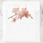 Roze Dendrobium Orchidee Bloem - Orchideeën Sjablo Rechthoekige Sticker (Tas)