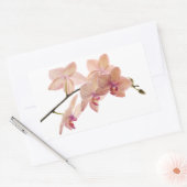 Roze Dendrobium Orchidee Bloem - Orchideeën Sjablo Rechthoekige Sticker (Envelop)