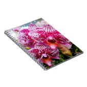 Roze dendrobiumorchideeën notitieboek (Rechterzijde)