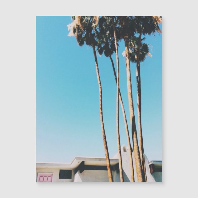 Roze deur van handpalmen magneet (Voorkant)