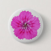 Roze Dianthus Button (Voorkant)