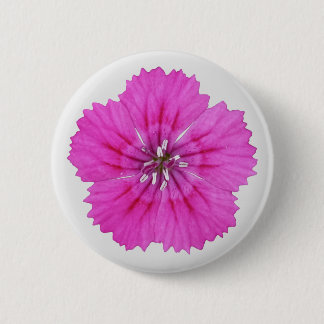Roze Dianthus Button