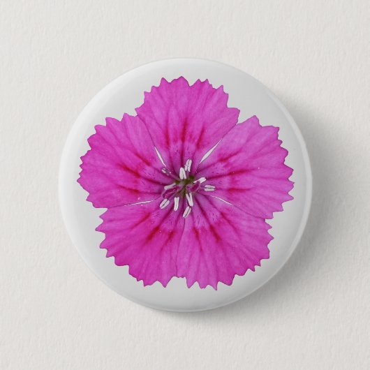 Roze Dianthus Button (Voorkant)
