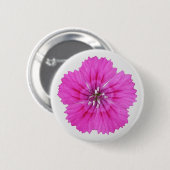 Roze Dianthus Button (Voorkant /achterkant)