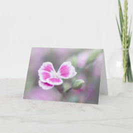 Roze Dianthus Flower Note Kaart