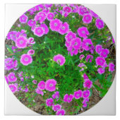 Roze dianthus Flower Tile Tegeltje (Voorkant)