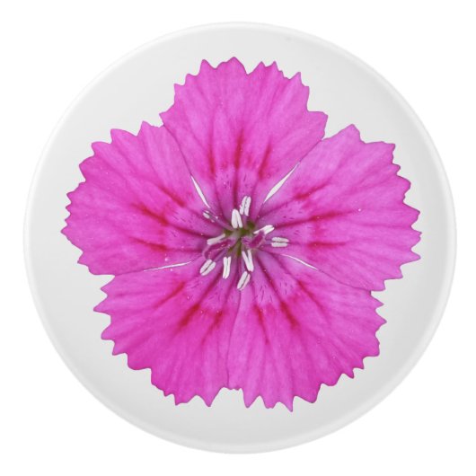 Roze Dianthus Keramische Knop (Voorkant)