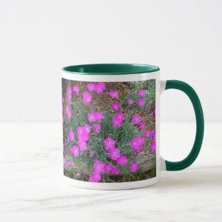 Roze Dianthus mok