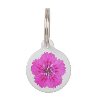 Roze dianthus Pet Tag Huisdierpenning