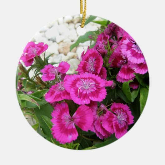 Roze Dianthus/Sweet William Keramisch Ornament (Voorkant)