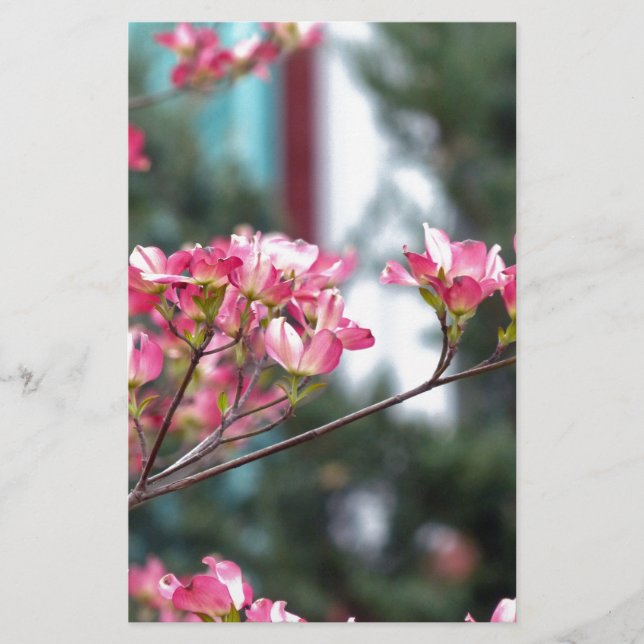 Roze Dogwood (Voorkant)