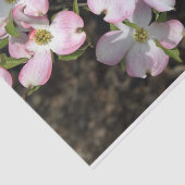 Roze Dogwood 1481 Tissuepapier (Detail)