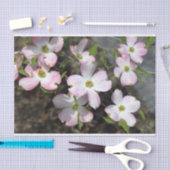 Roze Dogwood 1481 Tissuepapier (Craft)
