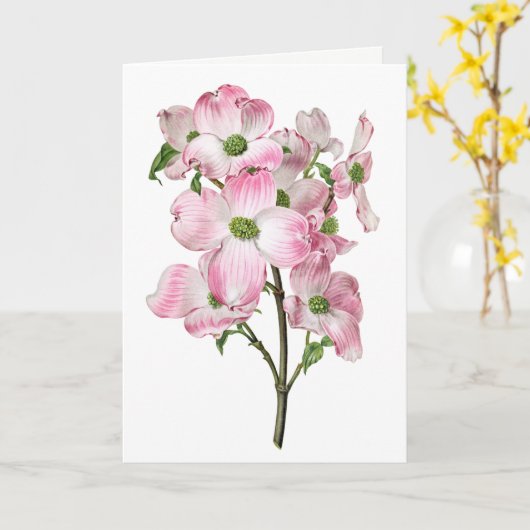 Roze Dogwood  Blank Wenskaart Kaart (Gele Bloem)