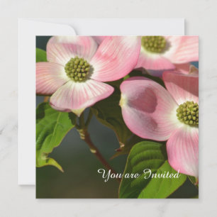 Roze Dogwood Bloemen Verjaardag Kaart