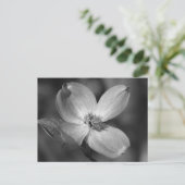 Roze Dogwood Bloom Briefkaart (Staand voorkant)
