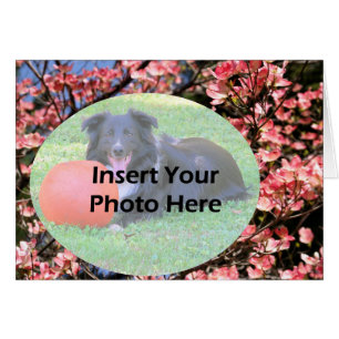 Roze Dogwood Blossoms Floral Fotokaart
