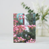 Roze Dogwood Briefkaart (Staand voorkant)