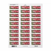 Roze Dogwood Flower Blossom Painting Address Etiket (Full Sheet)