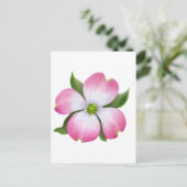 Roze Dogwood Flower Briefkaart (Staand voorkant)