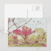Roze Dogwood Flower Briefkaart (Voorkant / Achterkant)