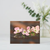 Roze Dogwood Flowers Briefkaart (Staand voorkant)