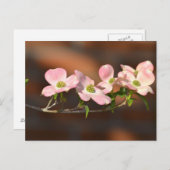 Roze Dogwood Flowers Briefkaart (Voorkant / Achterkant)