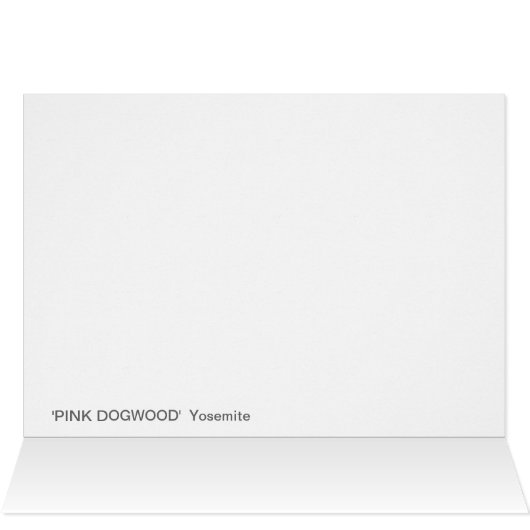 Roze Dogwood-kaart - Blanco kaart (Binnen Horizontaal (Boven))