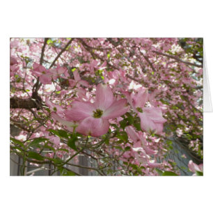 Roze Dogwood-kaart - Blanco kaart
