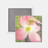 Roze Dogwood Magneet (Voorkant / Achterkant)