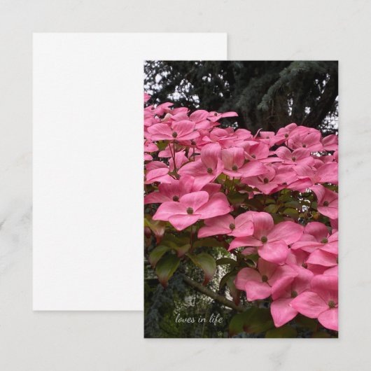 Roze Dogwood Notitiekaartje (Voorkant / Achterkant)