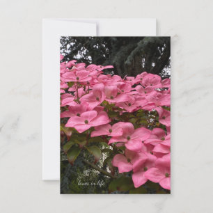 Roze Dogwood Notitiekaartje
