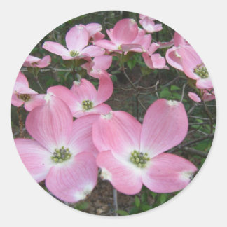 Roze Dogwood Ronde Sticker
