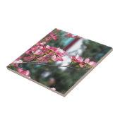 Roze Dogwood Tegeltje (Zijkant)
