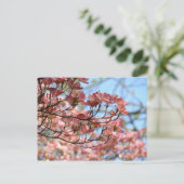 Roze Dogwood Tree Flowers Postkaart Bloeiende boom (Staand voorkant)