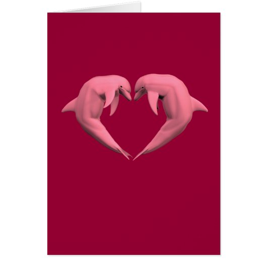 Roze dolfijnen (Voorkant)