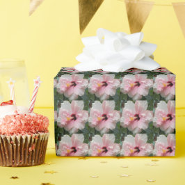 Roze Double Hibiscus Floral Cadeaupapier