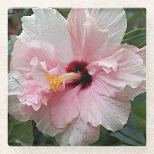 Roze Double Hibiscus Floral Glazen Onderzetter (Voorkant)
