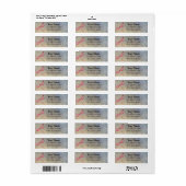 Roze Dragonfly adreslabel Etiket (Full Sheet)