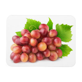 Roze druiven magneet