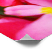 Roze druppeltjes lente, Begonia, Poster (Hoek)